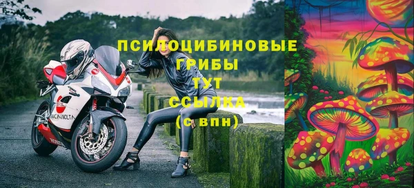 бутират Арсеньев