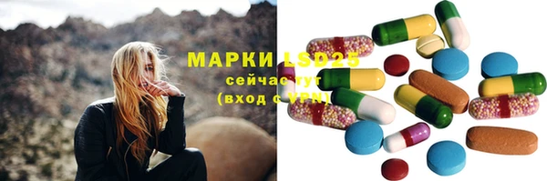 индика Армянск