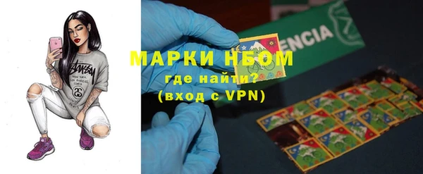 индика Армянск