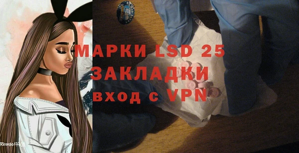 индика Армянск