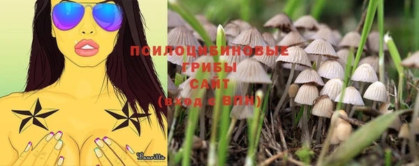 индика Армянск