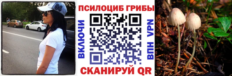 магазин продажи   Сосновоборск  Псилоцибиновые грибы Magic Shrooms 